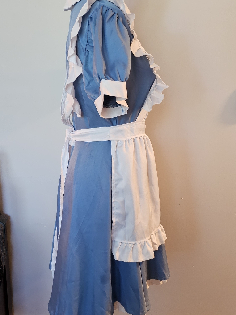 Alice In Wonderland Costume - Picture 4 of 12